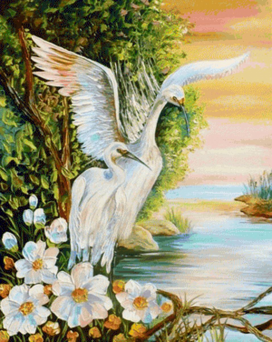 цапли - цапли птицы природа - предпросмотр