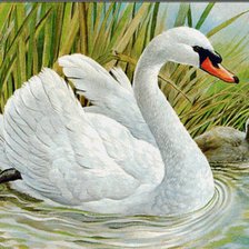 Схема вышивки «лебедь»