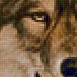 Предпросмотр схемы вышивки «Majestic Wolf.» (№2229562)