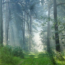 Схема вышивки «Лес»