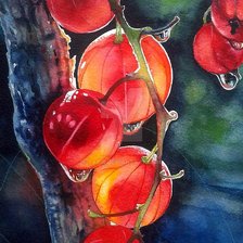 Схема вышивки «красная смородина»