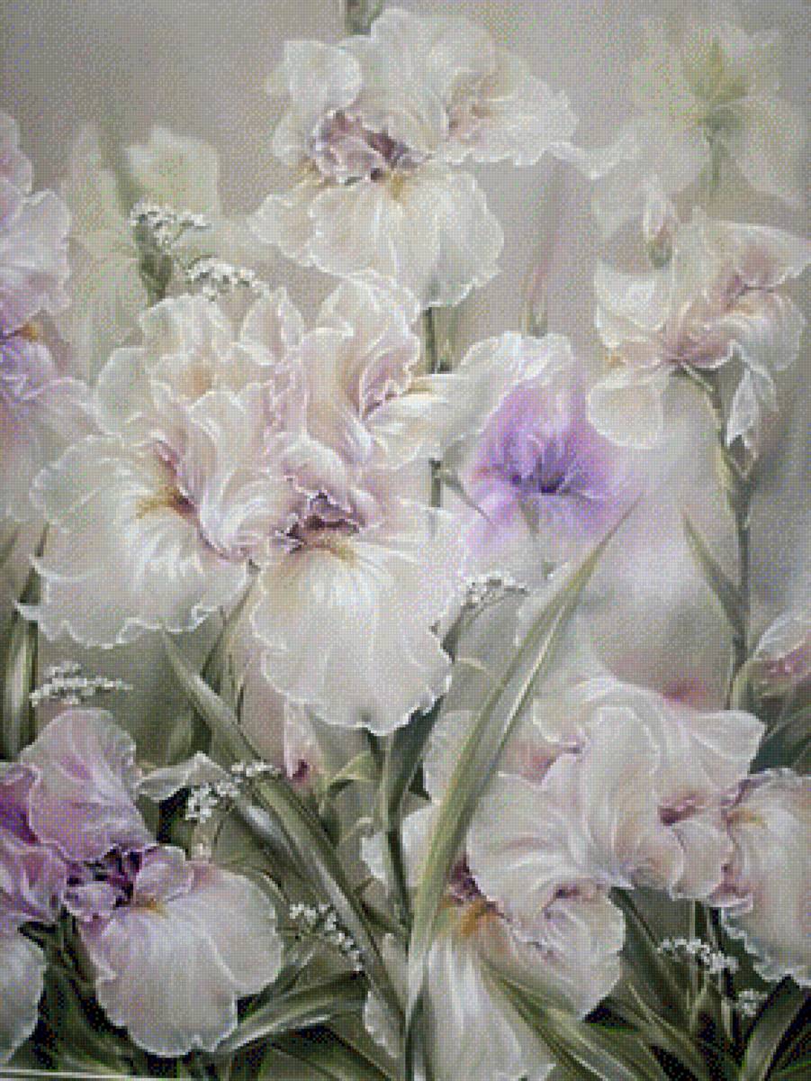 flori - предпросмотр