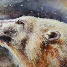 Схема вышивки «Медведица»