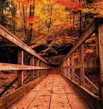 Схема вышивки «Природа»