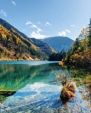 Схема вышивки «№2230043»