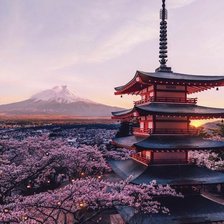 Схема вышивки «Красоты азии»