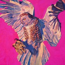 Схема вышивки «Сова»