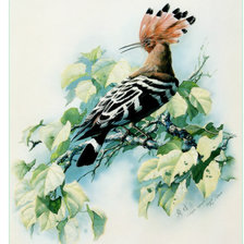 Схема вышивки «Птичка»