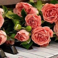 Схема вышивки «Симфонія»