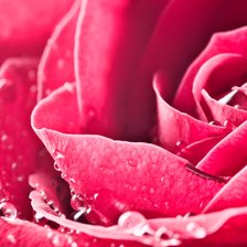 Схема вышивки «№2230826»