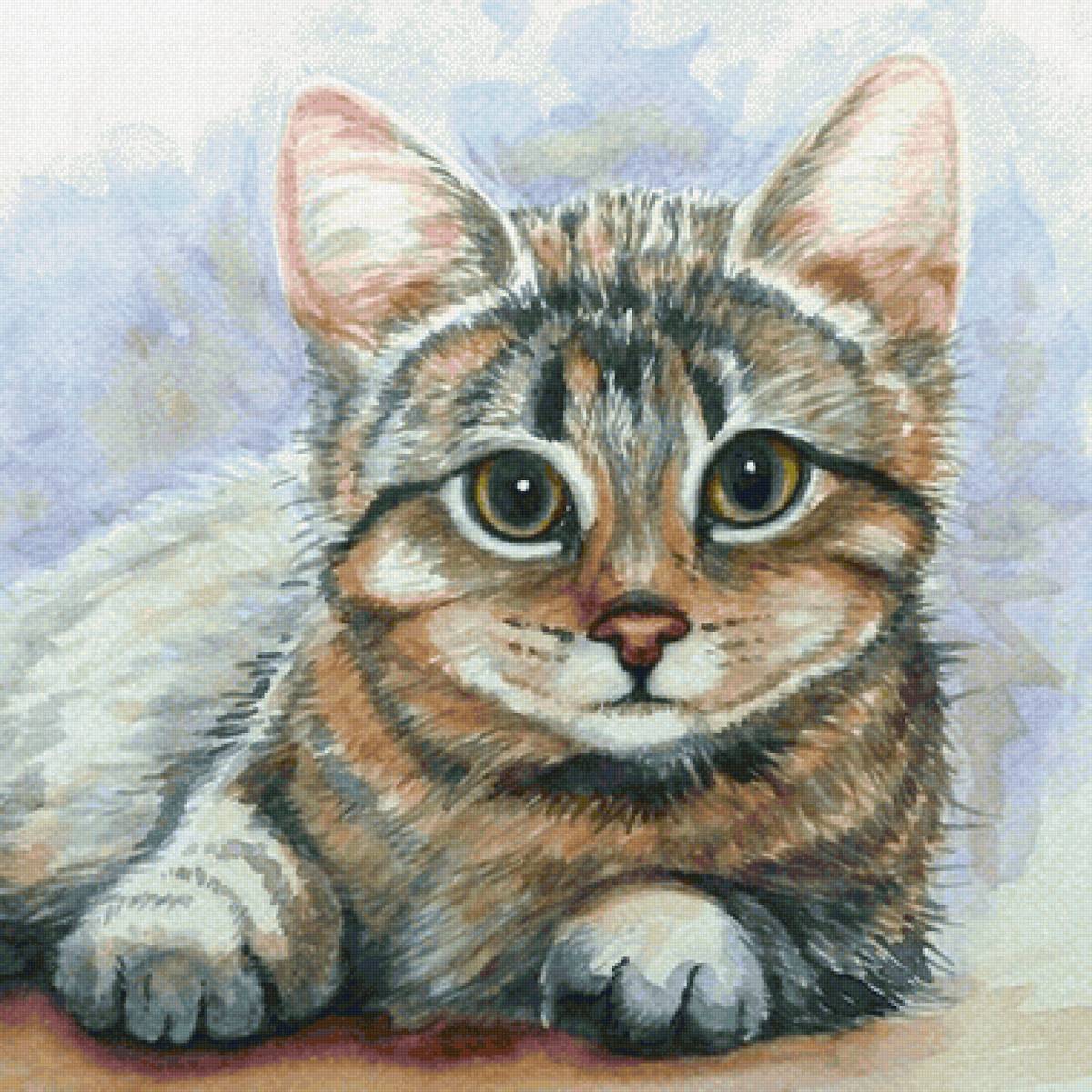 Gato. - animais. - предпросмотр