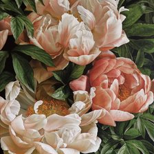 Схема вышивки «Пионы»