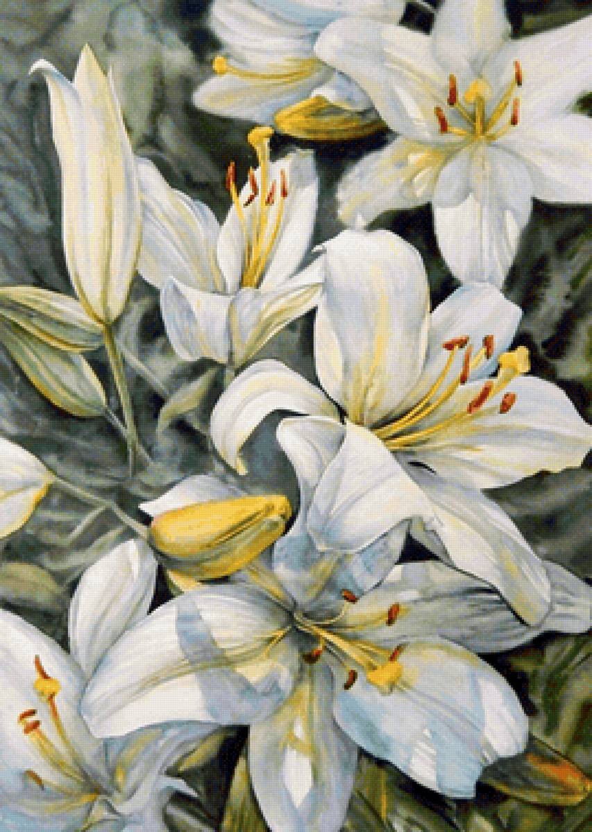 Лилии - флора, цветы, лилии, живопись - предпросмотр