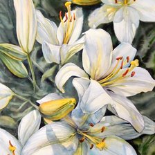 Схема вышивки «Лилии»