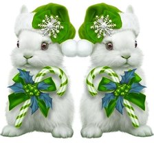 Coelhos na noite de natal.