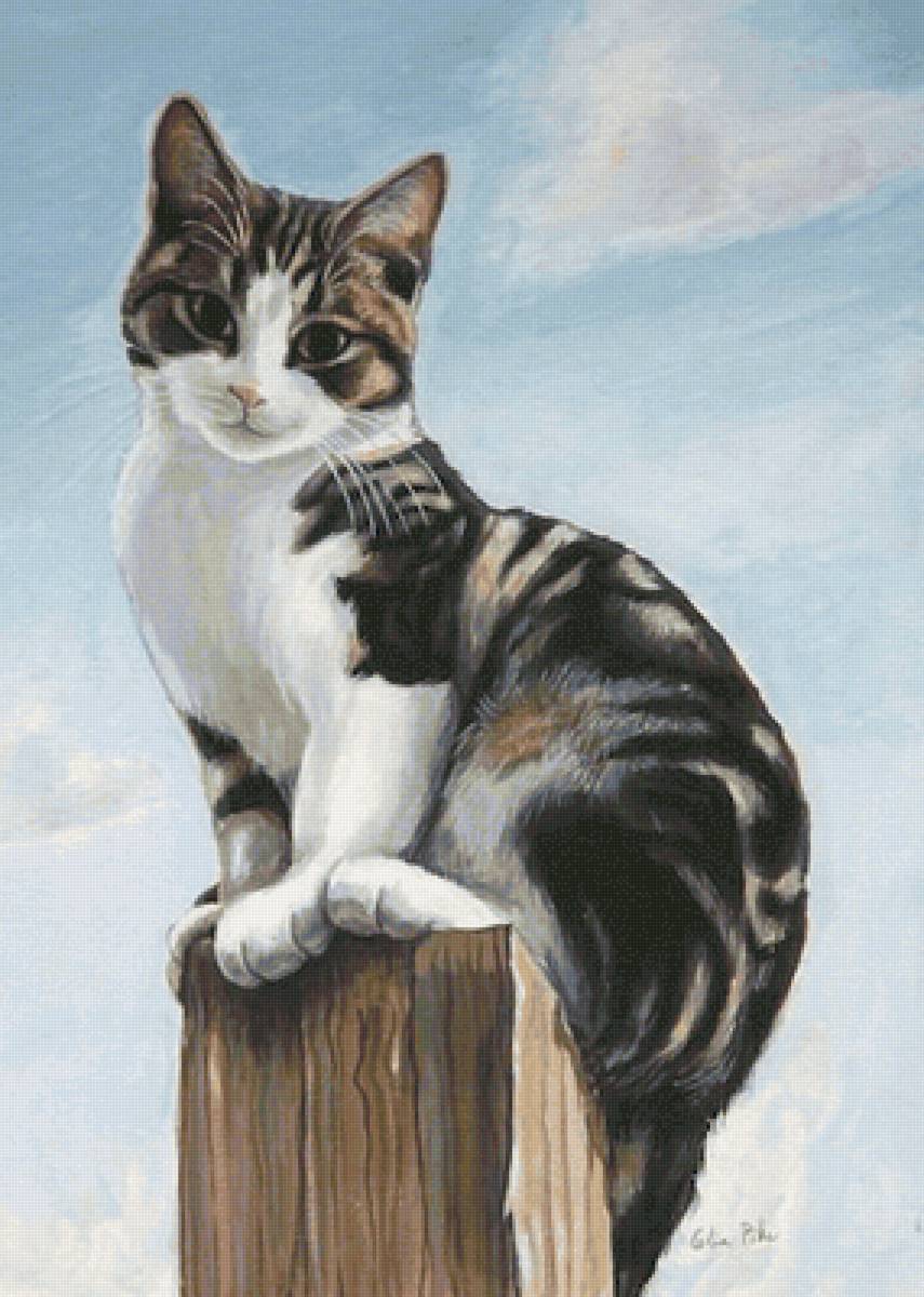 Gato. - animais. - предпросмотр