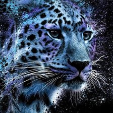 Схема вышивки «дикие»