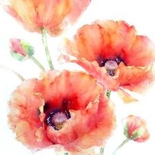 Схема вышивки «маки»