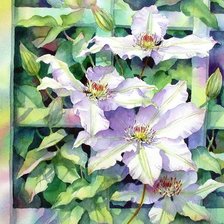 Схема вышивки «клематисы»