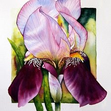 Схема вышивки «ирис»