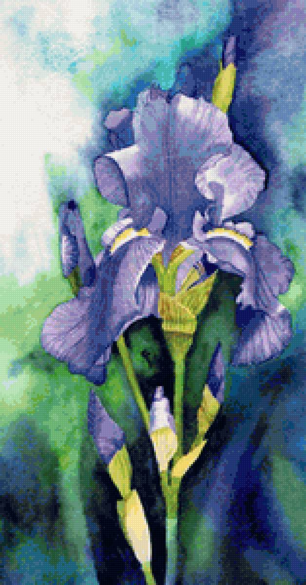 ирис - ирисы, цветы, ирис - предпросмотр