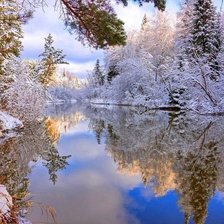 Схема вышивки «№2232695»