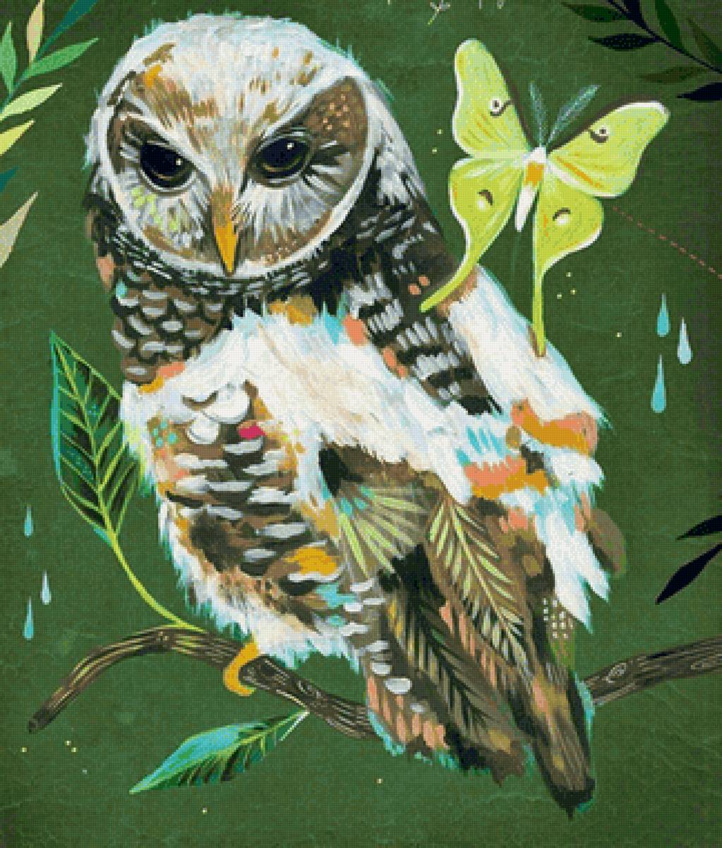 A coruja e a borboleta. - pássaro, pintura. - предпросмотр