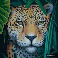 Схема вышивки «Леопард»