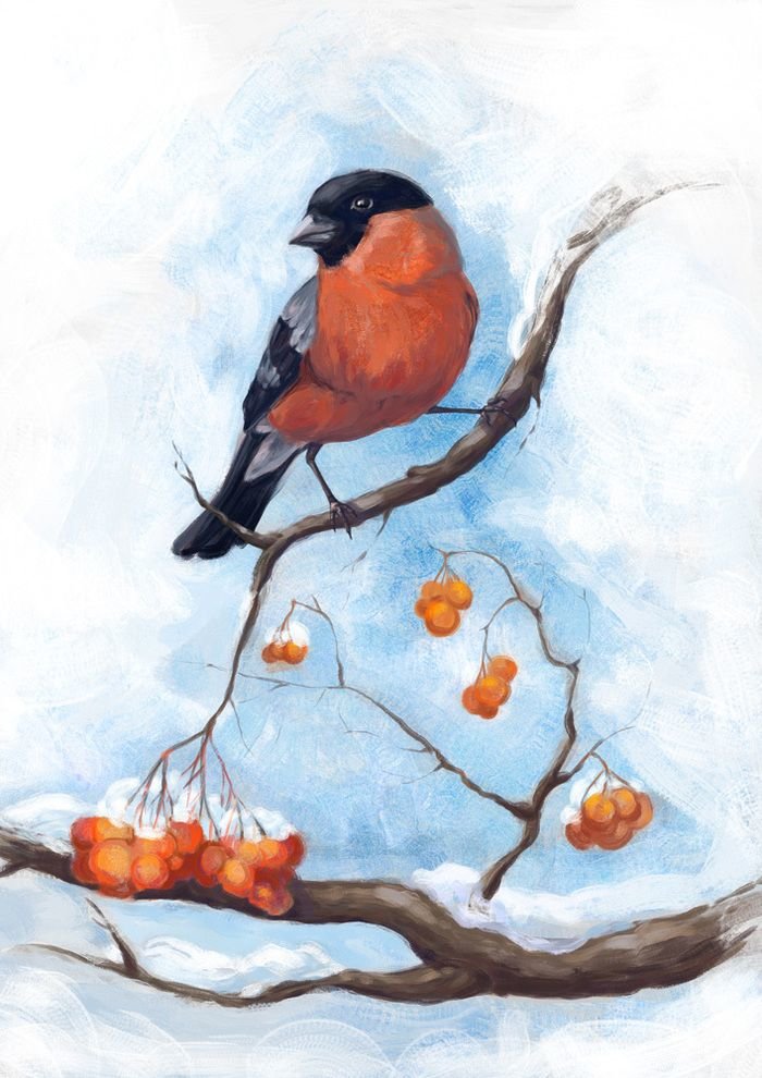 Снегирёк на ветке - художники - оригинал
