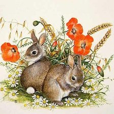 Схема вышивки «Зайки»