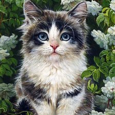 Схема вышивки «Котенок в белых цветах»