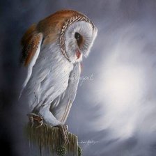 Схема вышивки «Совушка»