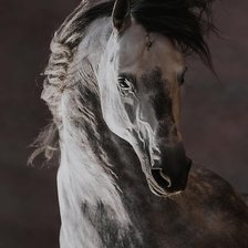 Схема вышивки «Норов»