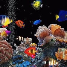 Схема вышивки «Under the Sea»