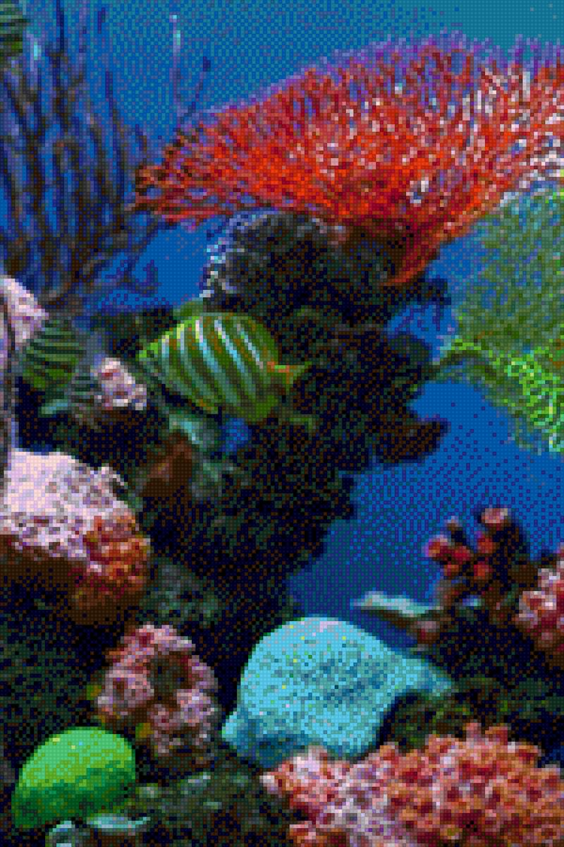 Under the Sea - fish - предпросмотр