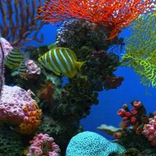 Схема вышивки «Under the Sea»