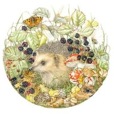 Схема вышивки «Ежик»