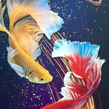 Схема вышивки «Betta Fish»