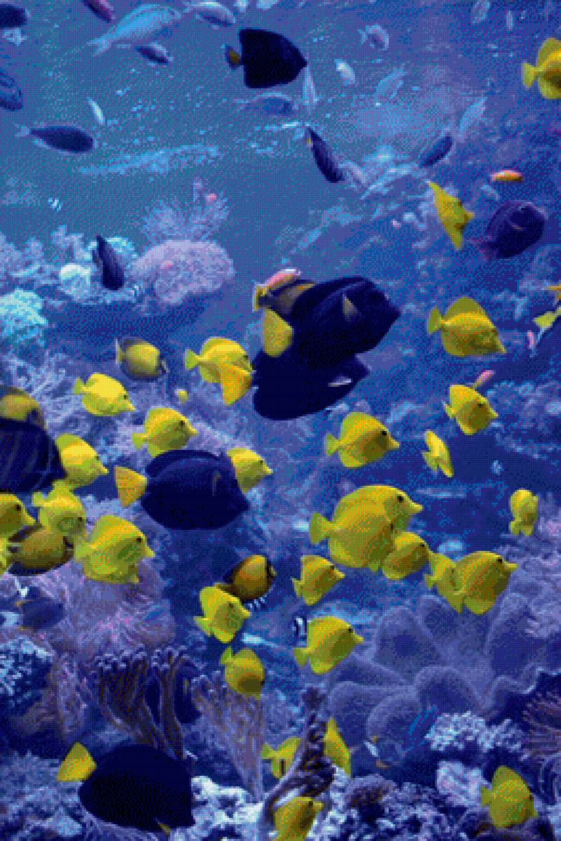 Under the Sea - fish - предпросмотр