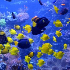 Схема вышивки «Under the Sea»