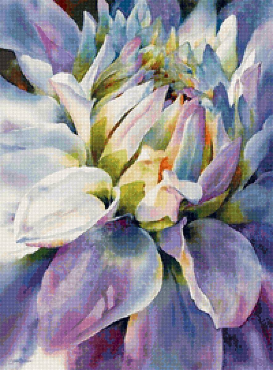 георгин - георгин, георгины, лепестки, цветок - предпросмотр