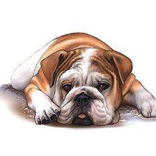 Схема вышивки «№2234434»