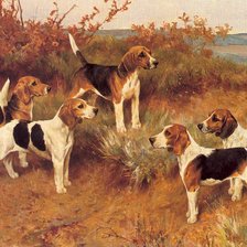 Схема вышивки «собаки»