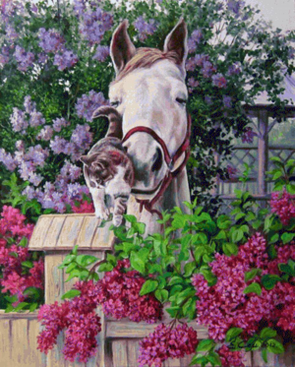 Конь и кот - конь, животные, кот, цветы, сирень - предпросмотр