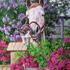 Схема вышивки «Конь и кот»