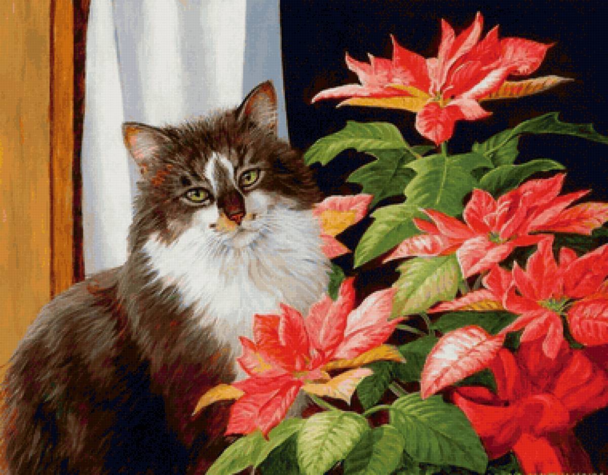 Gato. - flores.animais - предпросмотр