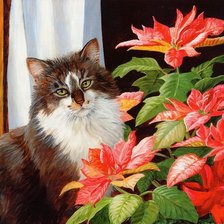 Схема вышивки «Gato.»