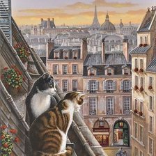 Кошки на крыше