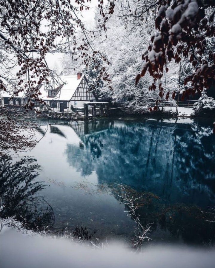 Дом у озера - дом, зима, озеро, лес - оригинал