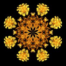 Схема вышивки «№2236332»